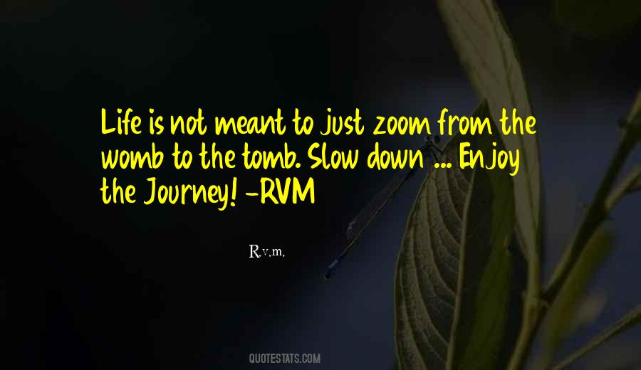 Not Meant To Quotes #1658177