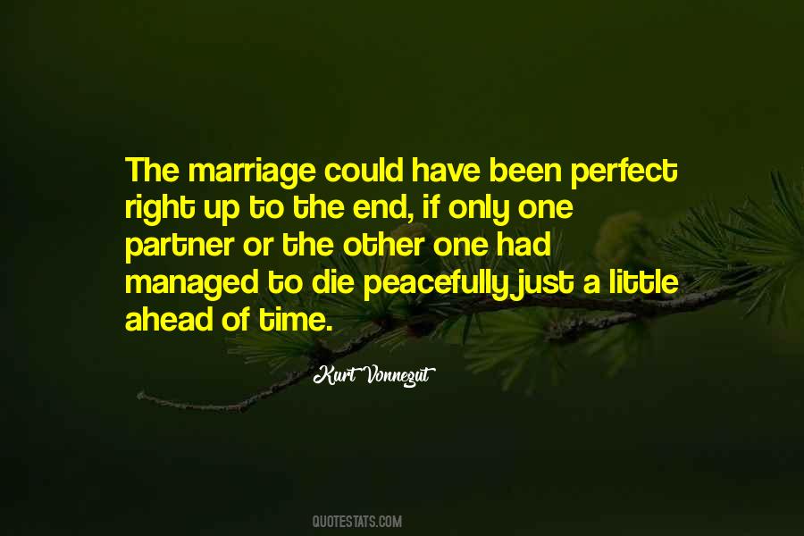 Not Perfect Partner Quotes #541953