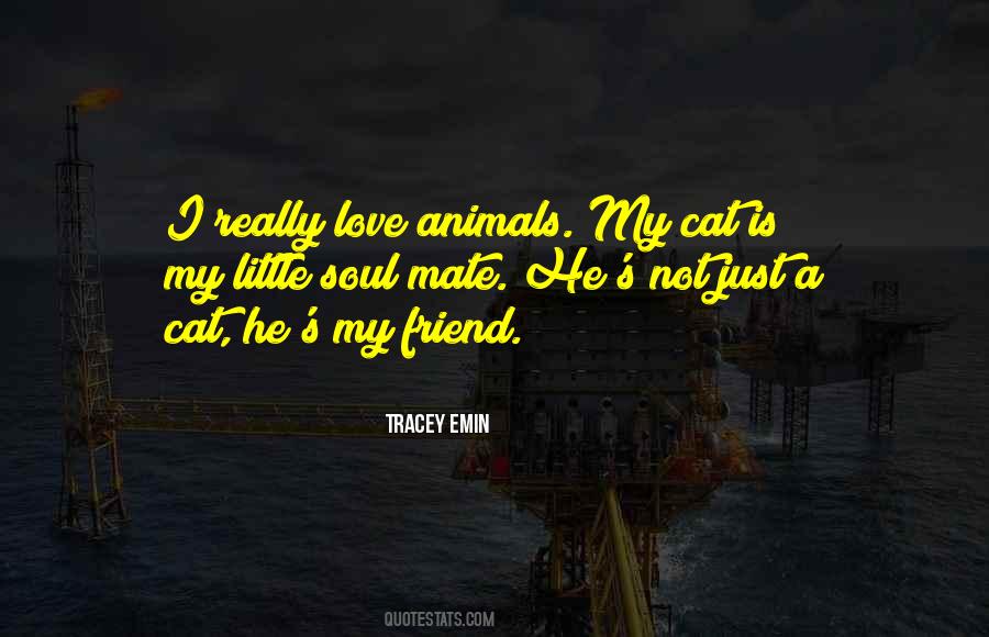 Not Really My Friend Quotes #1670224