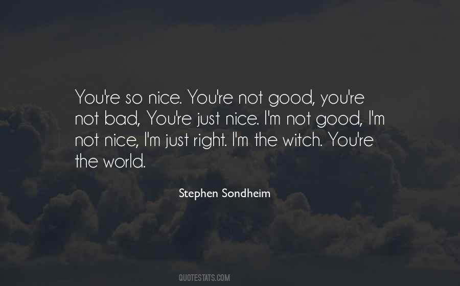 Not So Nice Quotes #380447