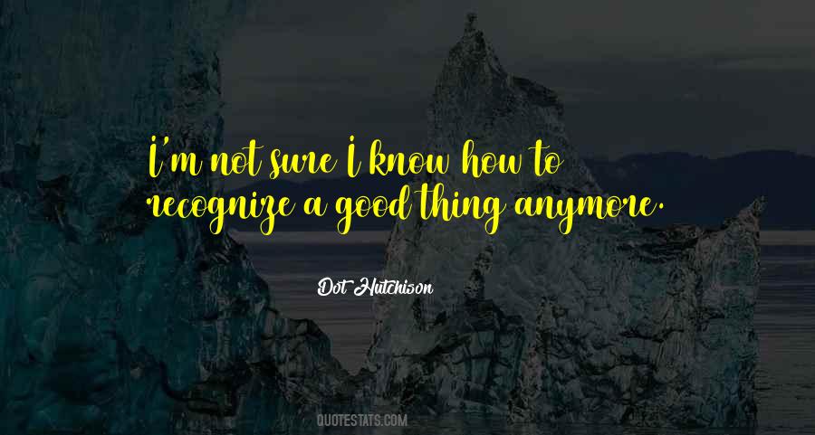 Not Sure Anymore Quotes #1191740