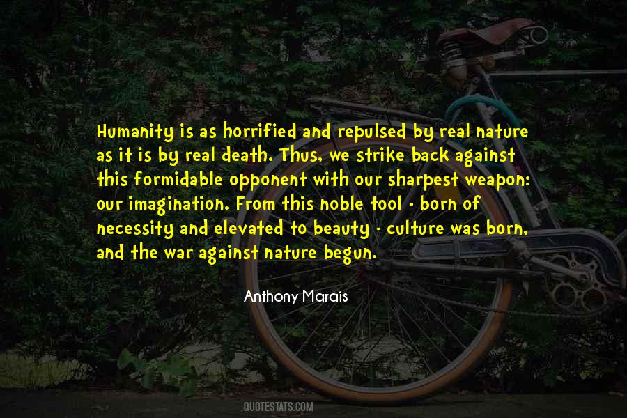 Not The Sharpest Quotes #270231