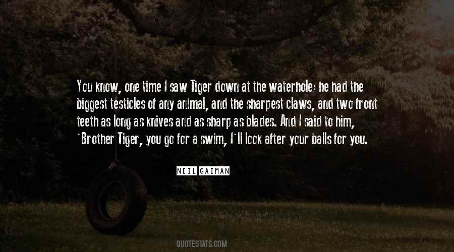 Not The Sharpest Quotes #945998