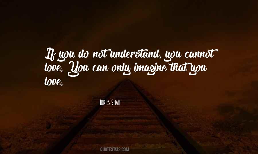 Not Understand Love Quotes #563913