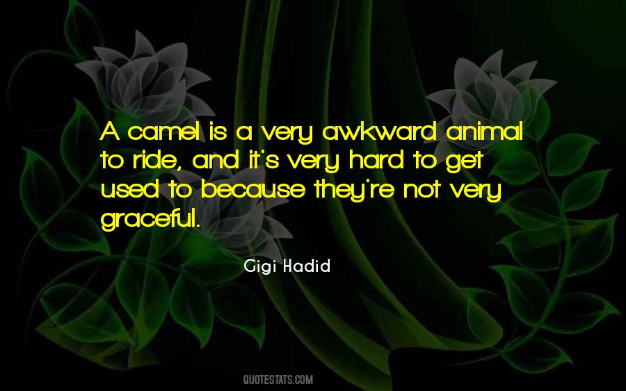 Not Used To Quotes #17173 Not Used To Quotes #17173
