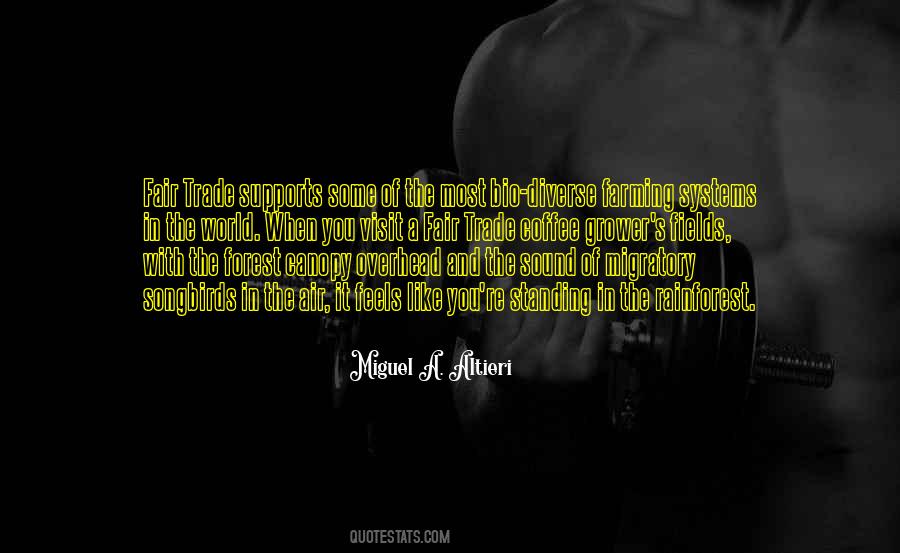 Nothing Fair In This World Quotes #94576