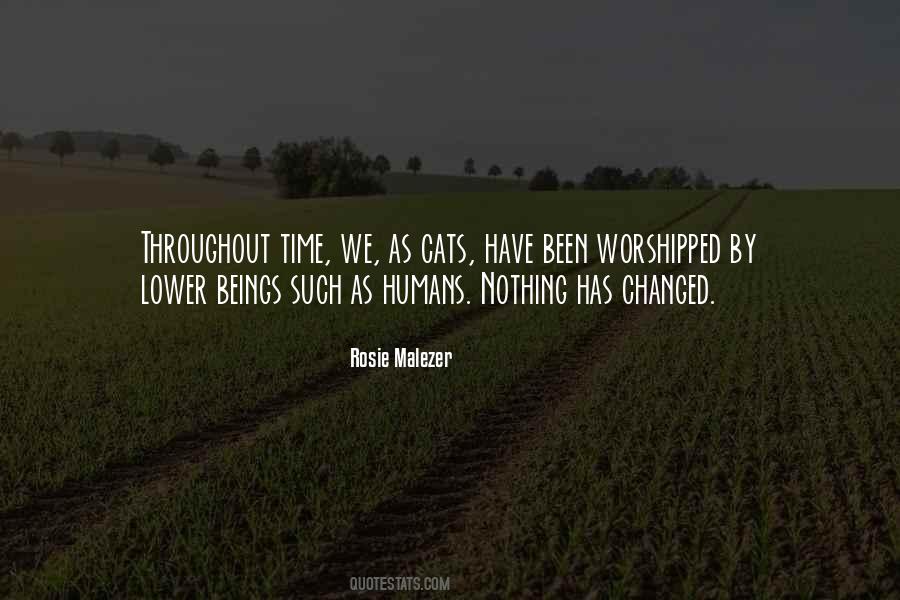 Nothing Has Changed Quotes #254443