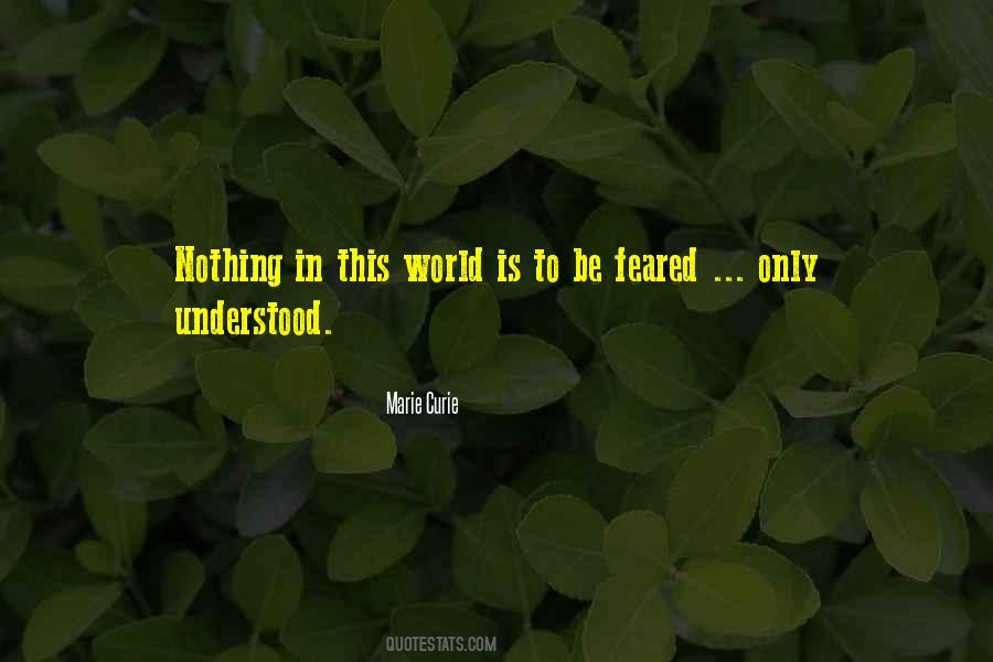 Nothing In This World Quotes #408214