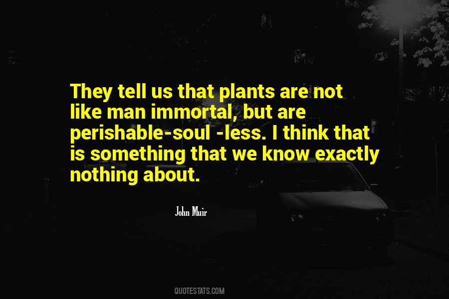 Nothing Is Immortal Quotes #1754293