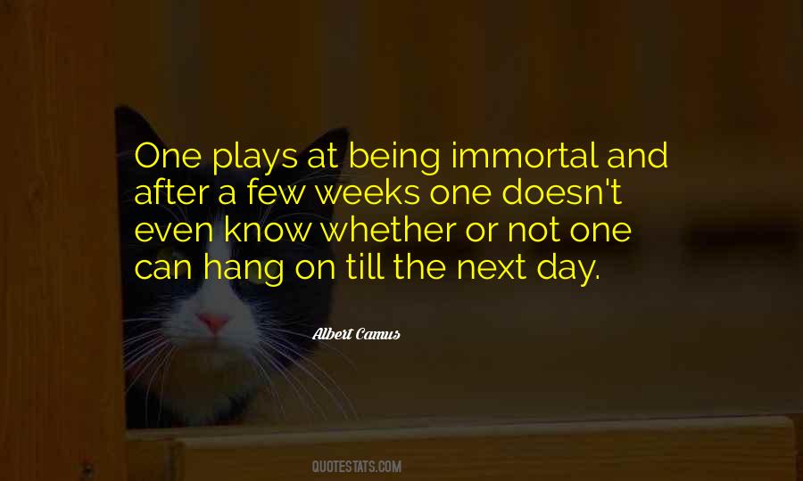 Nothing Is Immortal Quotes #655