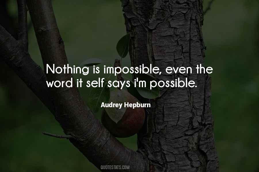 Nothing Is Possible Quotes #150491