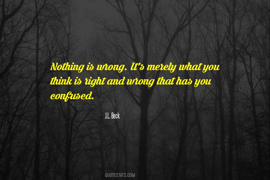 Nothing Is Wrong Quotes #981464