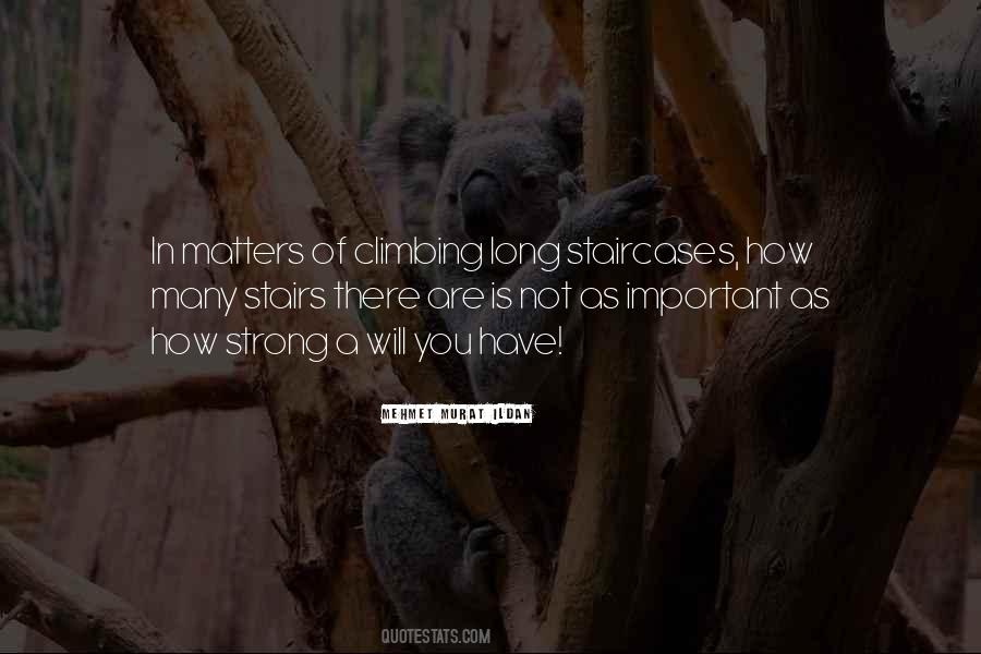 Nothing Matters But You Quotes #20648