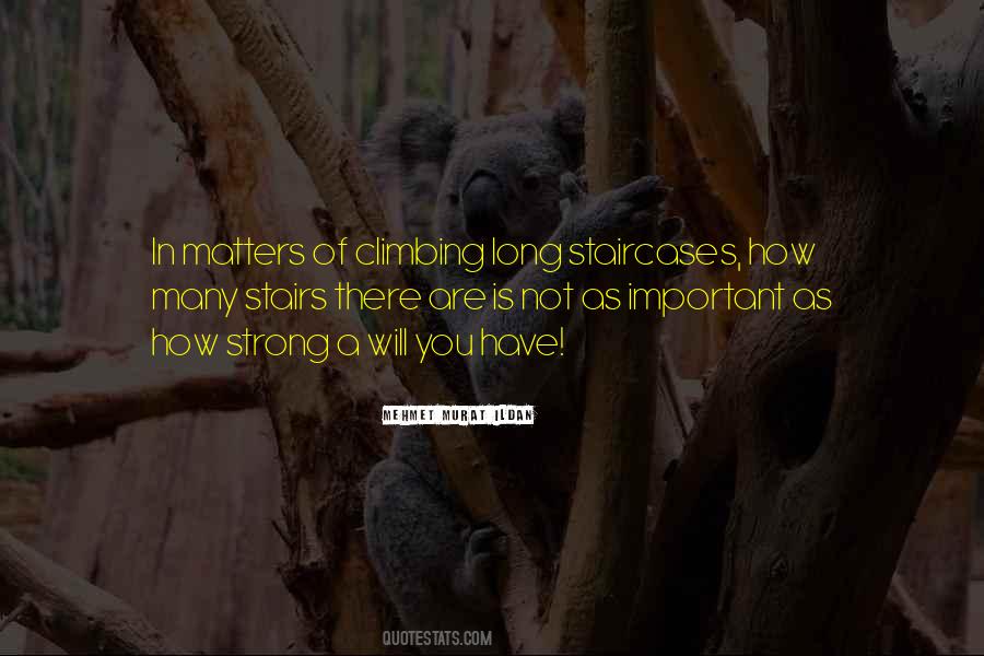 Nothing Matters To Me Quotes #20648
