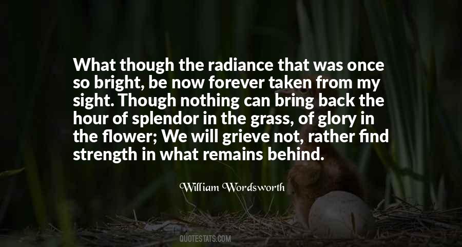 Nothing Remains Forever Quotes #690305