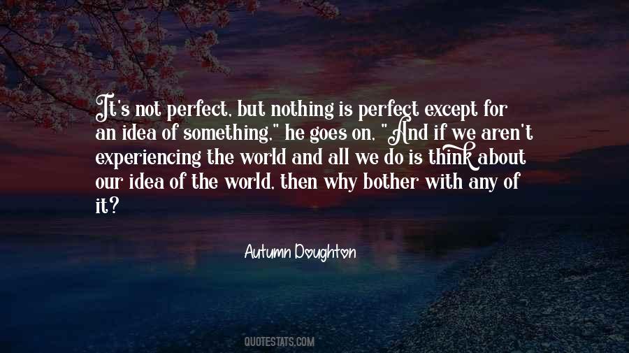 Nothing's Perfect Quotes #119340