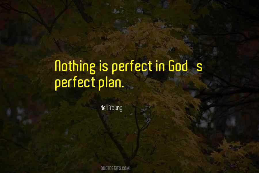 Nothing's Perfect Quotes #1750739