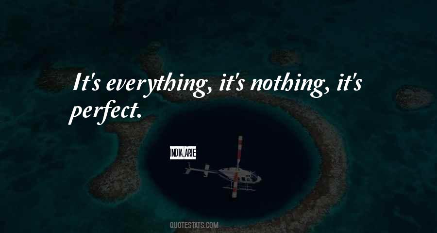 Nothing's Perfect Quotes #956968