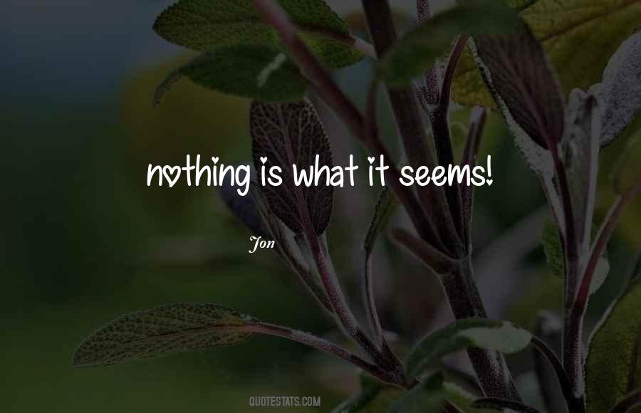 Nothing's What It Seems Quotes #1501632