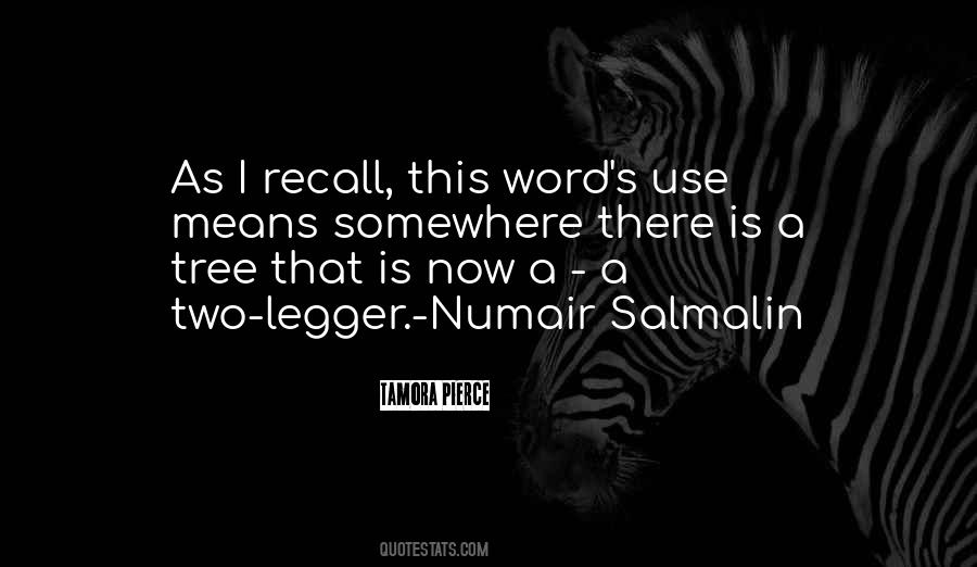 Numair Salmalin Quotes #1695607
