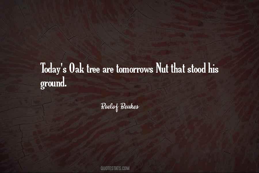 Oak Tree Quotes #1064370