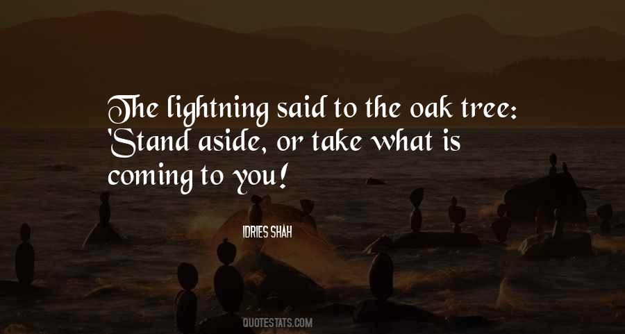 Oak Tree Quotes #303968