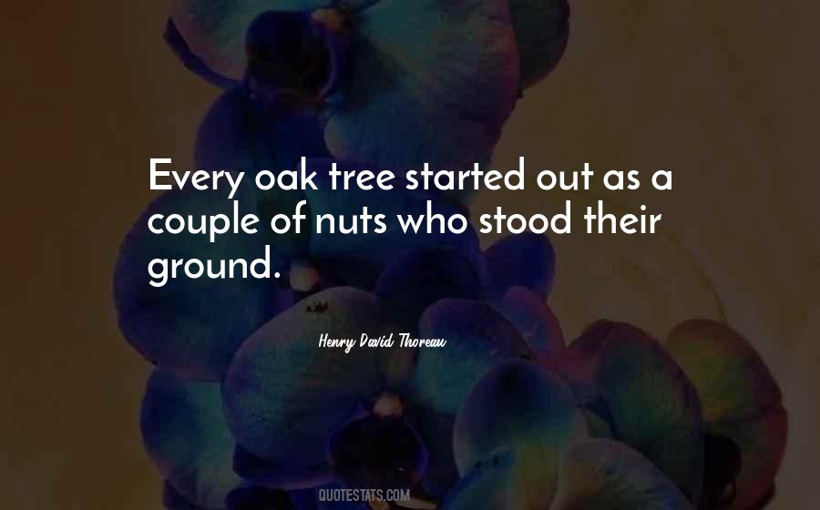 Oak Tree Quotes #583290