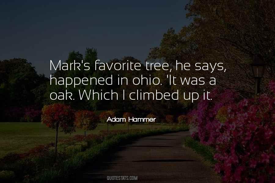 Oak Tree Quotes #666682