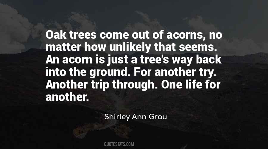 Oak Tree Quotes #756160