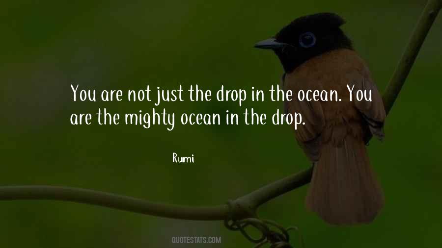 Ocean Drops Quotes #301259