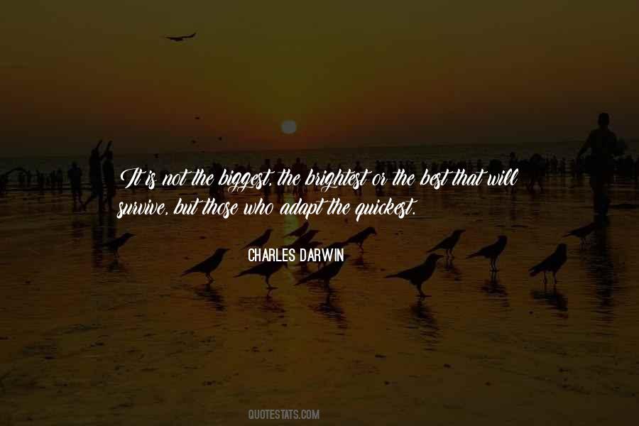 Quotes About Brightest #1080524