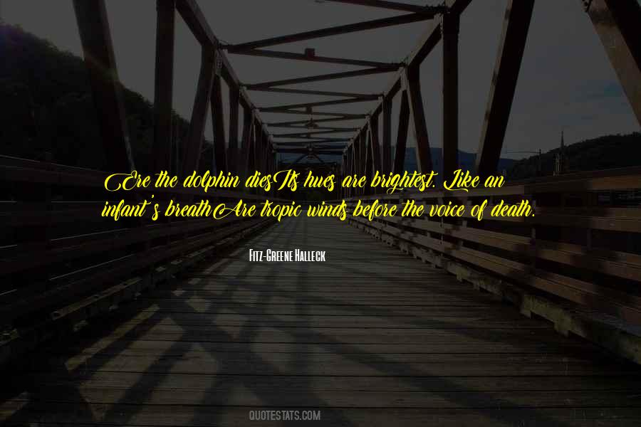 Quotes About Brightest #191673 Quotes About Brightest #191673