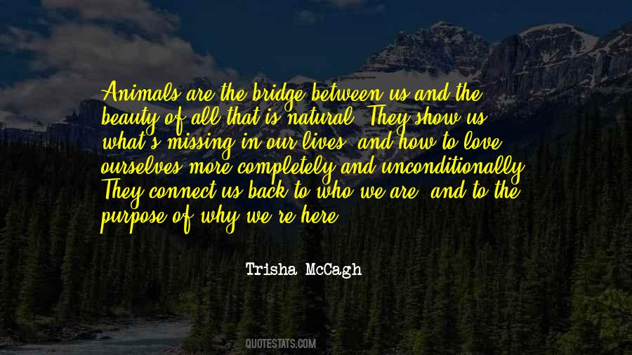 Quotes About Bridge Of Love #1873793