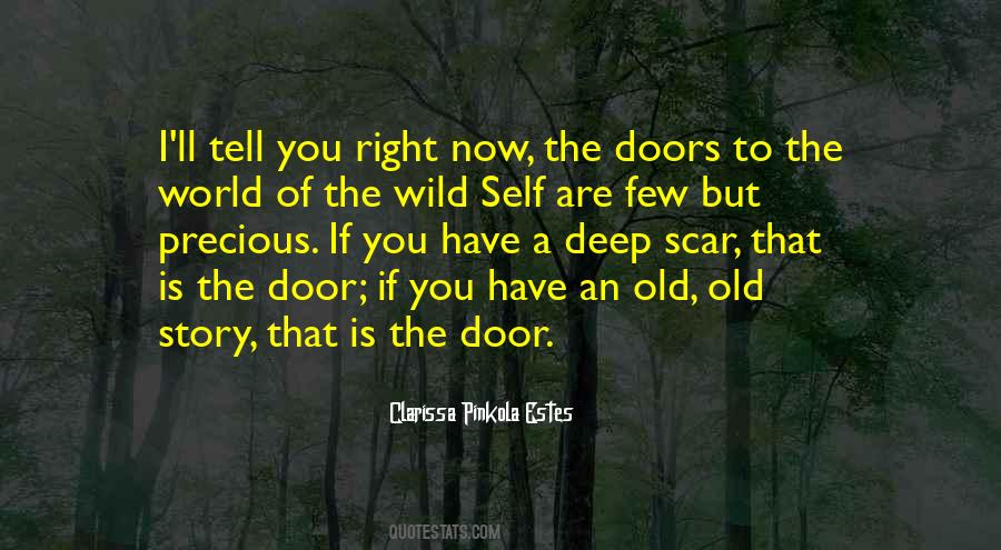 Old Door Quotes #1267071