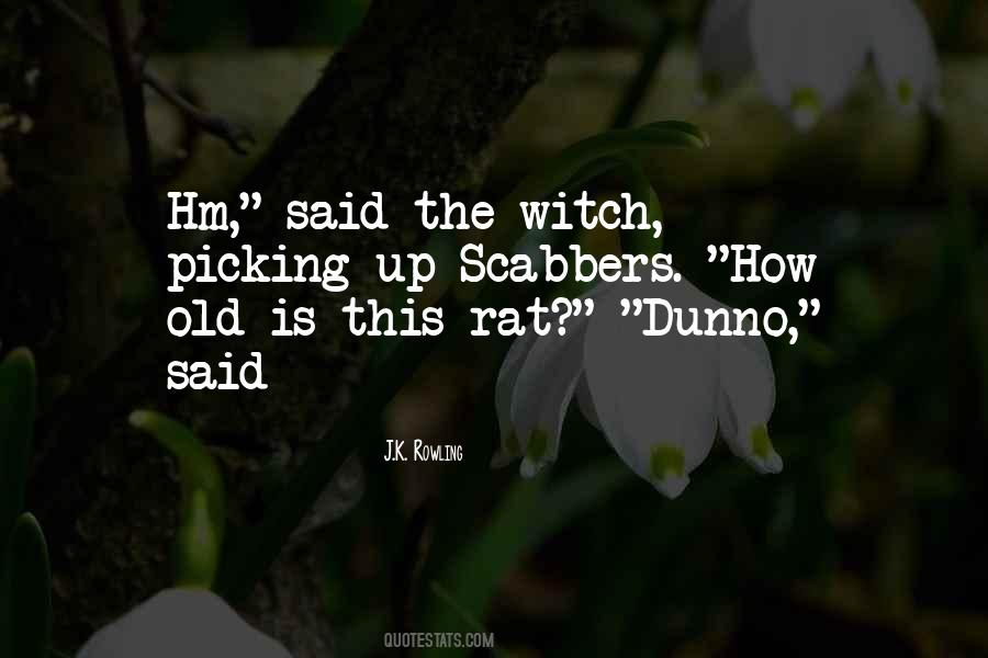 Old Witch Quotes #1039578