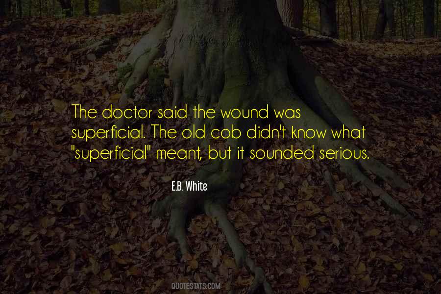 Old Wound Quotes #537570