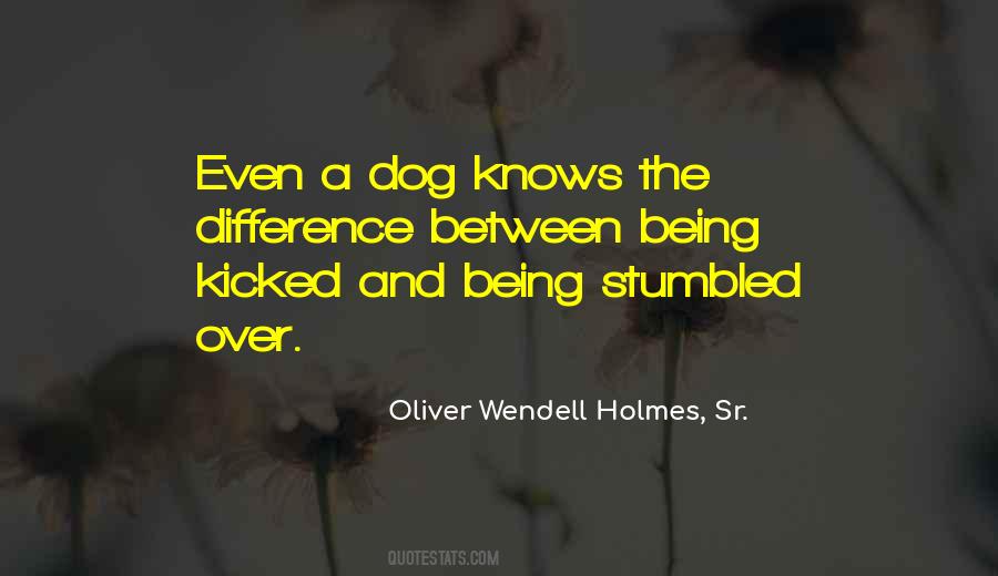 Oliver Wendell Quotes #177219