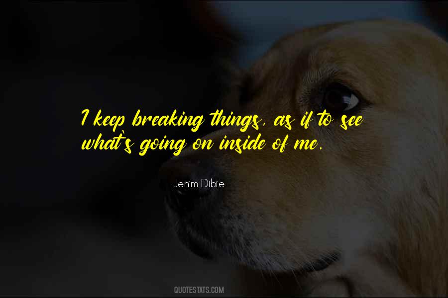 Quotes About Breaking Things #1214311