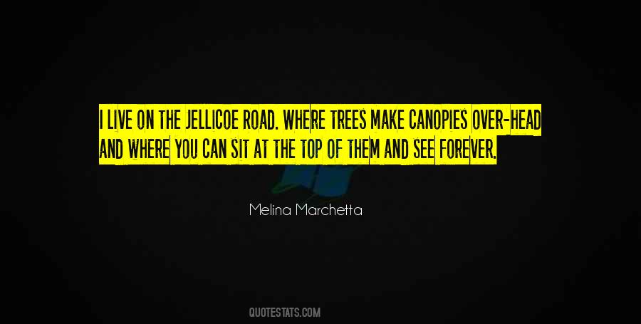 On The Jellicoe Road Quotes #408655