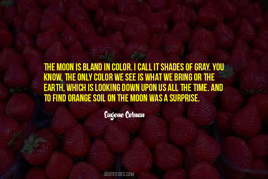 On The Moon Quotes #1103515