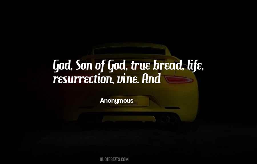 Quotes About Bread Of Life #919690
