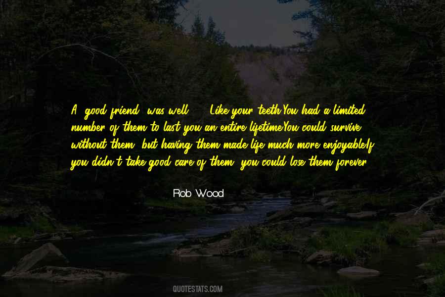 Once In A Lifetime Best Friend Quotes #1503432