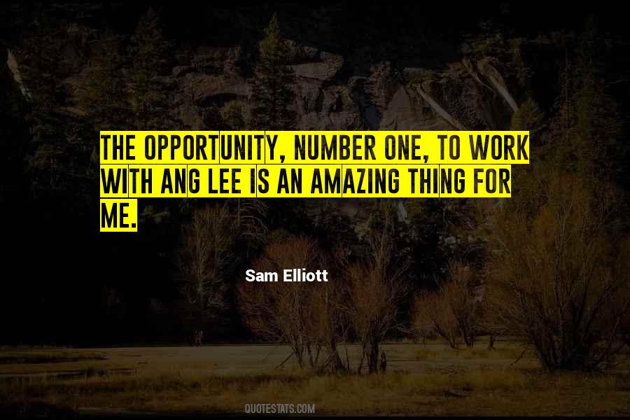 One Amazing Thing Quotes #758287