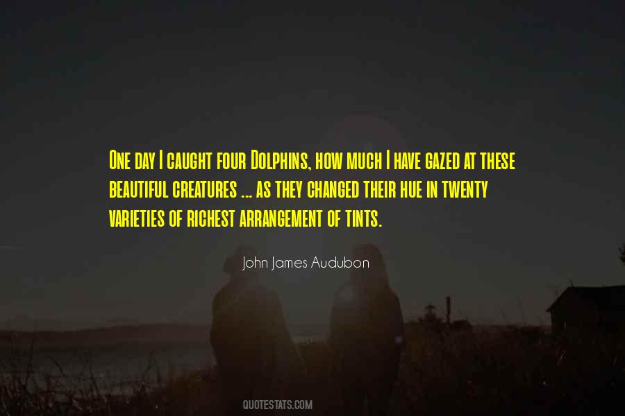 One Beautiful Day Quotes #371572