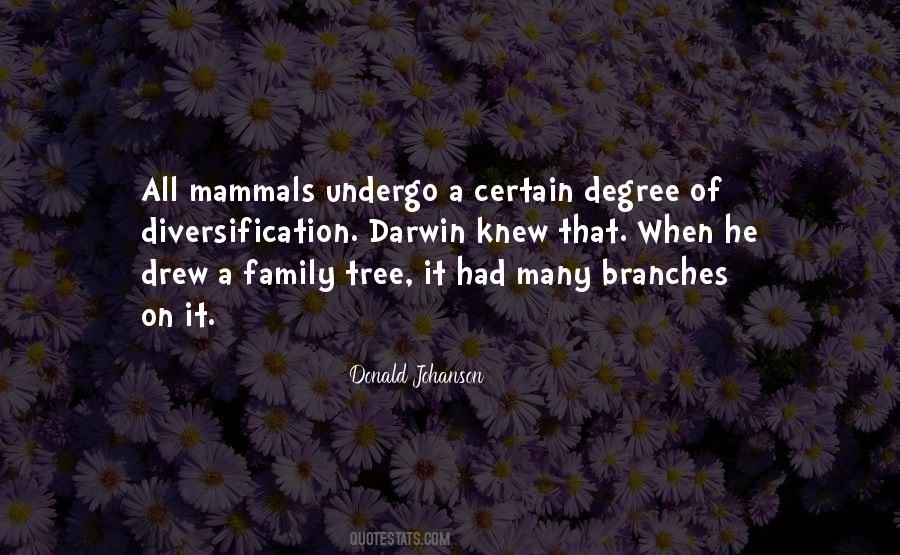 Quotes About Branches Of A Tree #401869