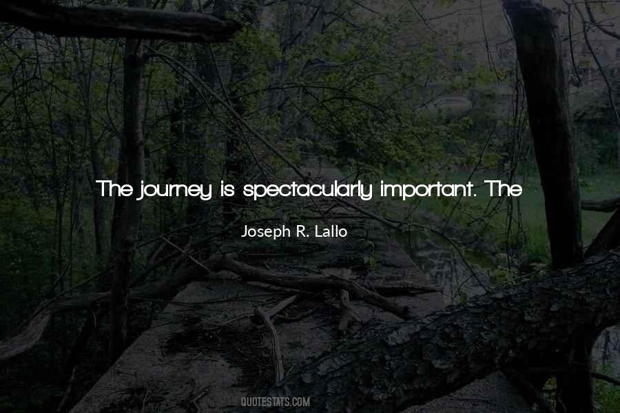 One Man Journey Quotes #606222