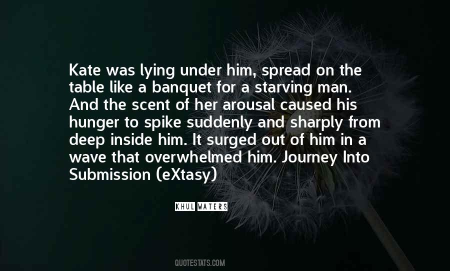 One Man Journey Quotes #761850