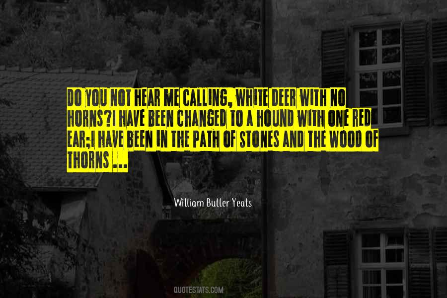 One Path Quotes #232209 One Path Quotes #232209