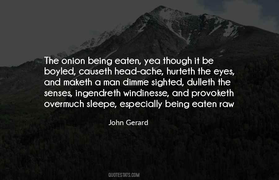 Onion John Quotes #560781