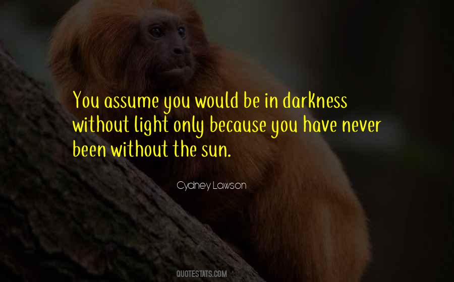 Only In The Darkness Quotes #610931